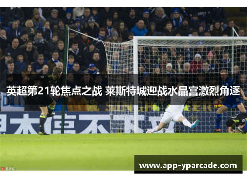 英超第21轮焦点之战 莱斯特城迎战水晶宫激烈角逐