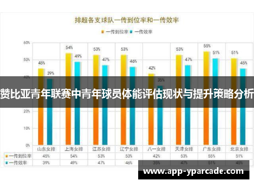 赞比亚青年联赛中青年球员体能评估现状与提升策略分析