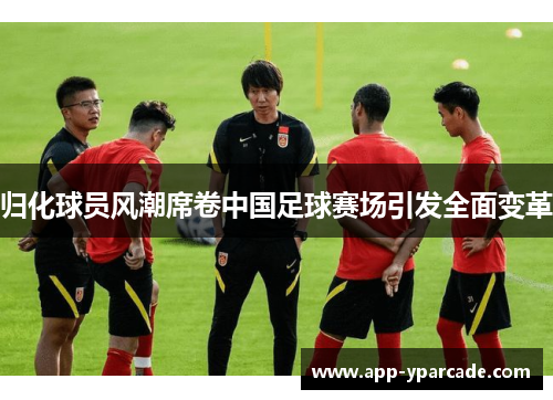 归化球员风潮席卷中国足球赛场引发全面变革