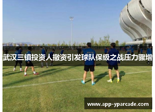 武汉三镇投资人撤资引发球队保级之战压力骤增