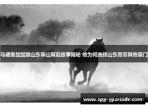 马德鲁加加盟山东泰山背后故事揭秘 他为何选择山东而非其他豪门